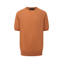 Load image into Gallery viewer, Golden Bronze Knit Crewneck Short-Sleeve Top